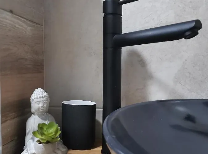 16 Pancic Lejlighed Kopaonik