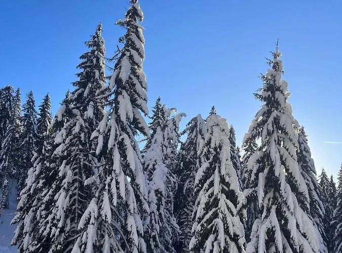 16 Pancic * Kopaonik